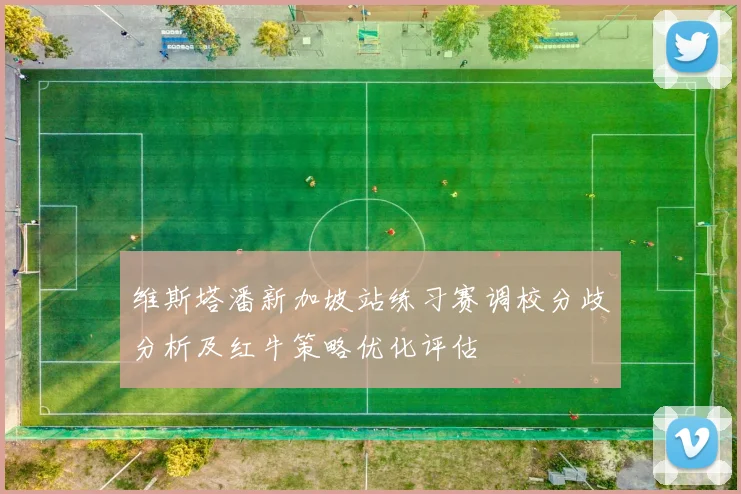 维斯塔潘新加坡站练习赛调校分歧分析及红牛策略优化评估
